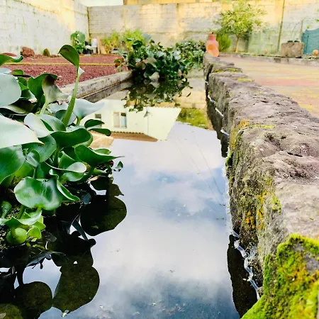 Spring Gospodarstwo wiejskie *