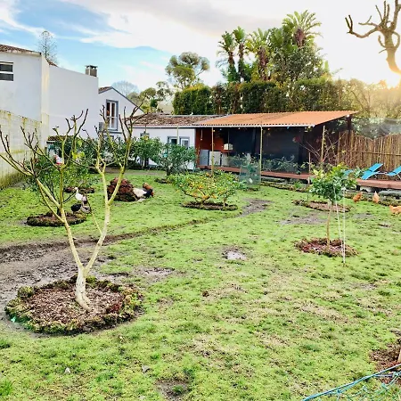 Spring * Furnas (Azores)