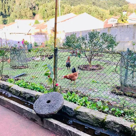 Gospodarstwo wiejskie Spring Furnas (Azores)