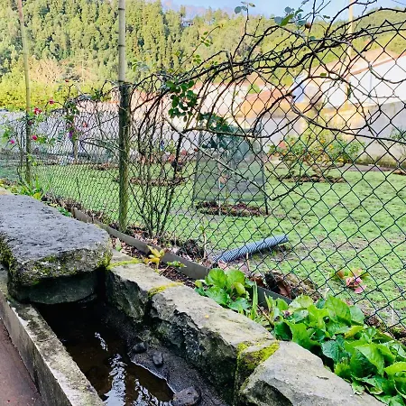 Spring Furnas (Azores)