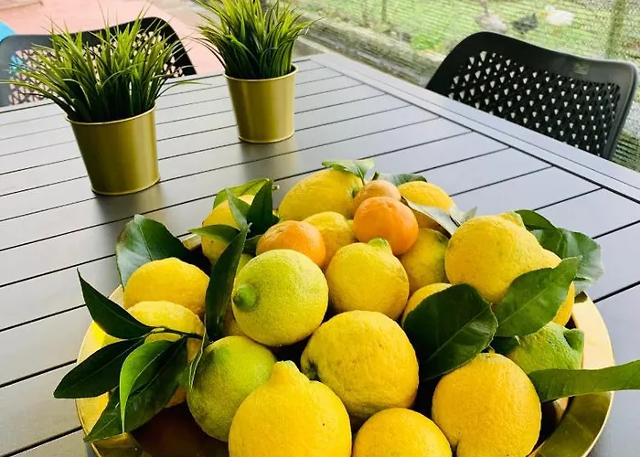 Spring * Furnas (Azores)