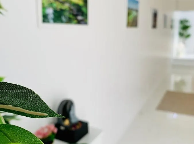 Gospodarstwo wiejskie Spring *