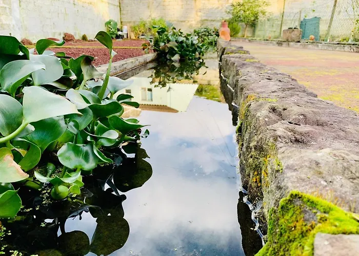 Spring Gospodarstwo wiejskie *