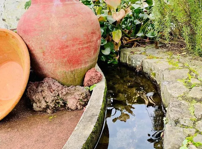 Spring Gospodarstwo wiejskie *