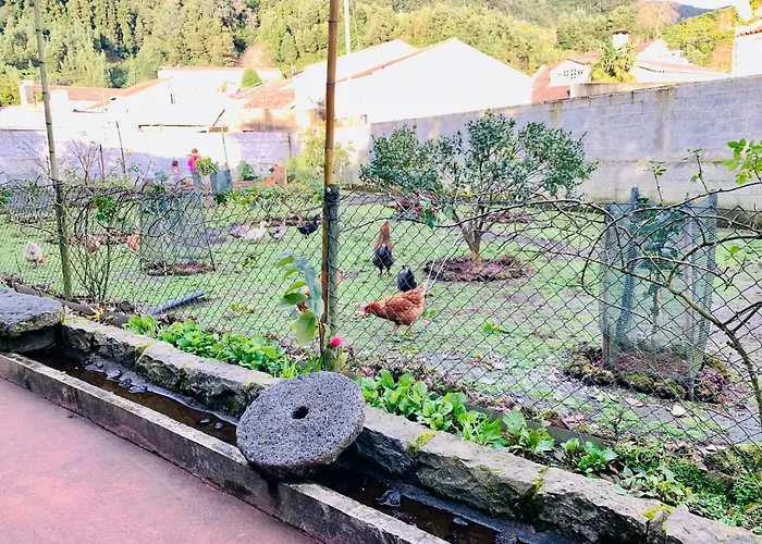 Gospodarstwo wiejskie Spring Furnas (Azores)