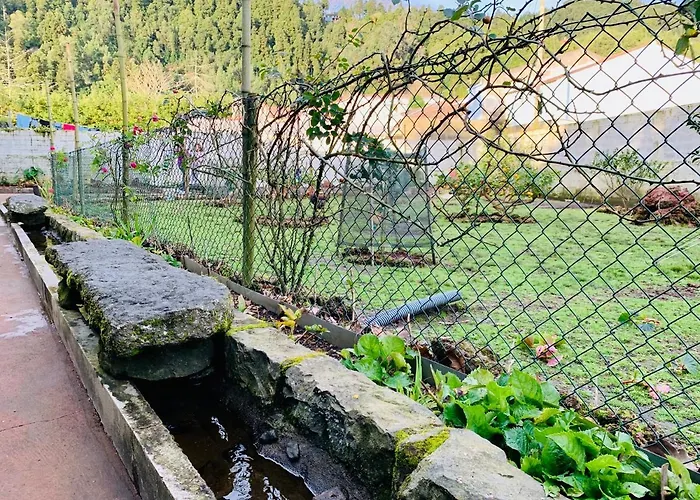 Spring Furnas (Azores)