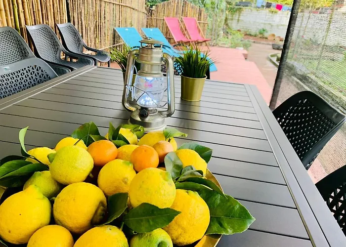 Gospodarstwo wiejskie Spring