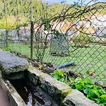 Spring Furnas (Azores)