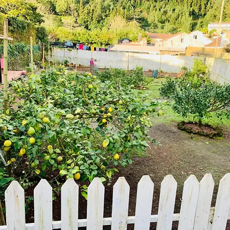 Spring * Furnas (Azores)