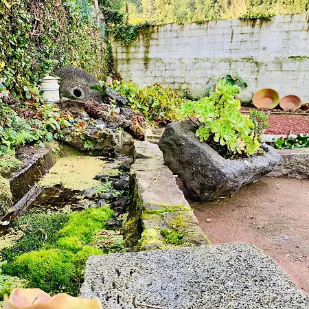 Furnas Spring *