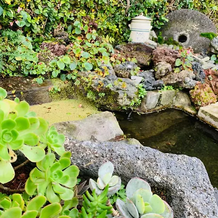 Spring Furnas (Azores)