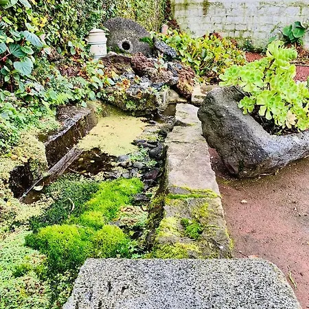 Furnas Spring