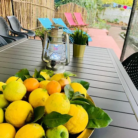 Gospodarstwo wiejskie Spring