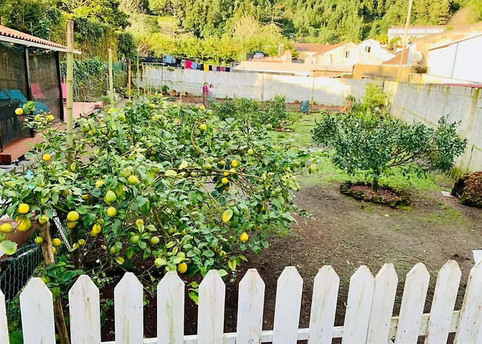 Spring * Furnas (Azores)