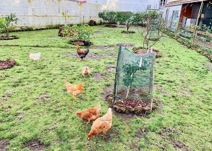 Spring Country house Furnas (Azores)