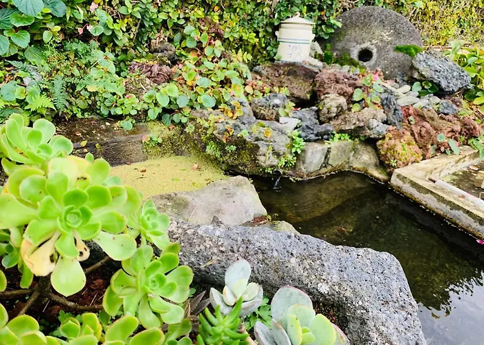 Spring Furnas (Azores)