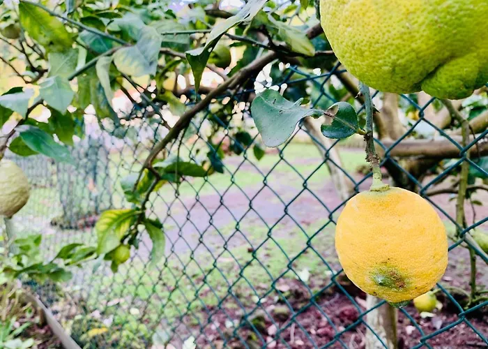 Country house Spring *